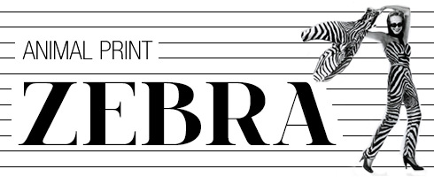 Zebrismo